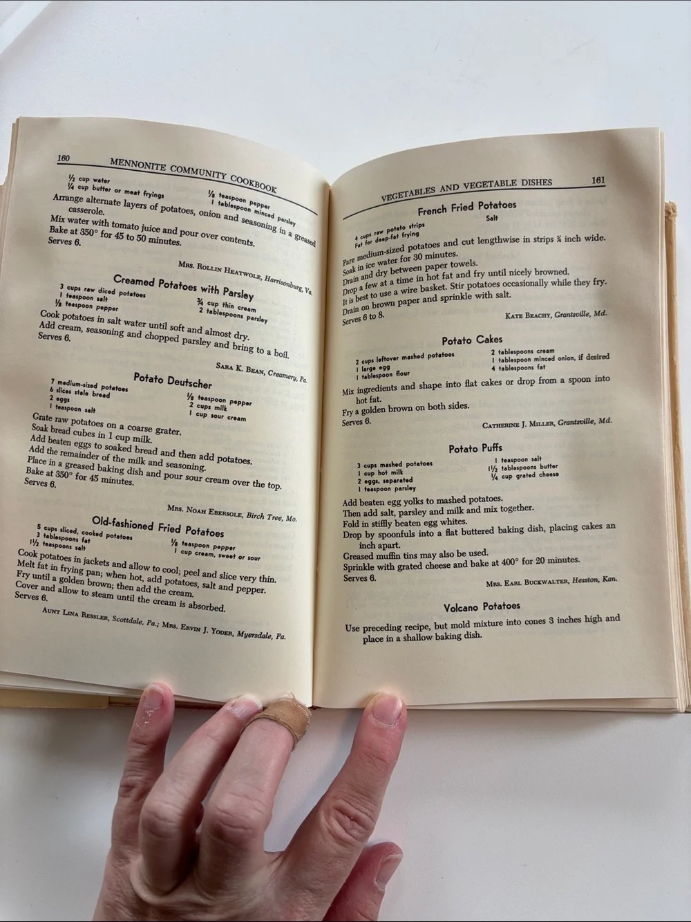 Bundle 2/$30! Vintage Mennonite Cookbook 1990 Printing